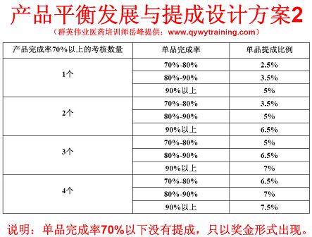 药品销售方案